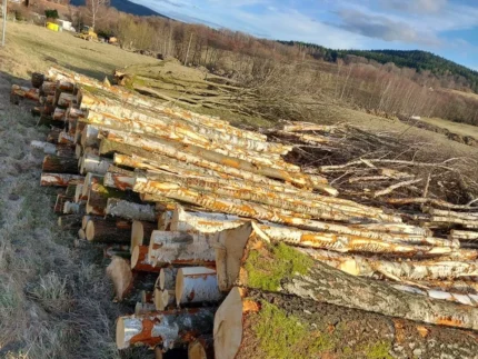 Grumes de bouleau châtaignier PEFC par 1 camion – 60M3